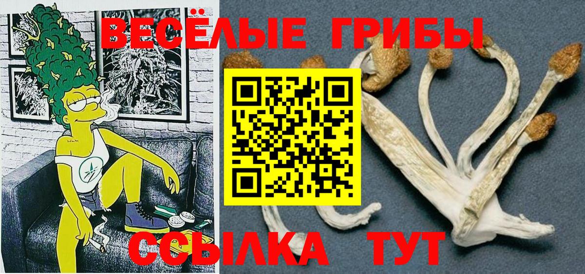 где найти   Галлюциногенные грибы Magic Shrooms  Псилоцибиновые грибы Psilocybe  Вход с VPN  Каменка 
