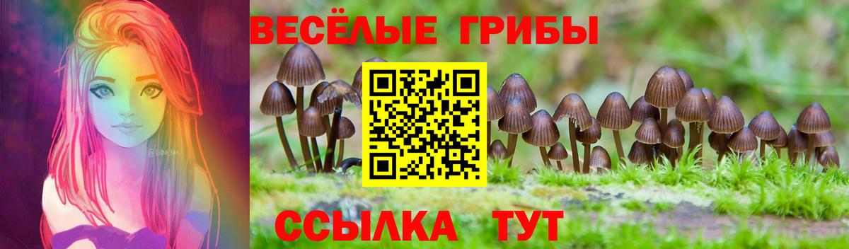 Псилоцибиновые грибы Psilocybine cubensis Каменка